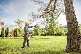 Best Tree Disease Treatment  in Crete, IL